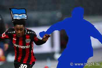 Knipst er wieder in Augsburg? Stammplatz-Garantie für Herthas "Hoffnungsträger" - TAG24