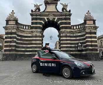 VIDEO. Arrestato a Catania il complice delle rapine alla Lidl di Luino e al distributore di Fornasette - InformazioneOnline.it