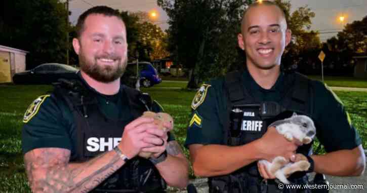 Sheriff's Office Helps Rescue 23 Abandoned Rabbits Living in Florida Park