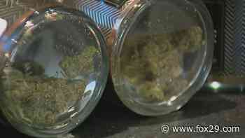 Could NJ recreational marijuana sales affect medical patients? - FOX 29 Philadelphia