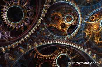 What Drives the Circadian Rhythms: Unlocking Complex Workings of the Biological Clock