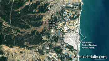 A Renewable Future for Fukushima: Solar and Wind Farms Cover Fields That Were Abandoned After Nuclear Accident