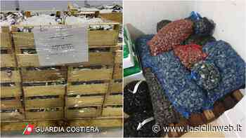 Sequestro di pesce al Maas di Catania - lasiciliaweb | Notizie di Sicilia