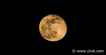 What to Expect From the Full Pink Moon This Weekend     - CNET