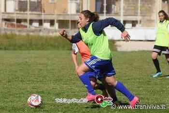 Duro allenamento per l'Apulia Trani per provare a vincere il campionato di serie C - TraniViva
