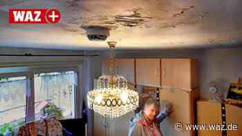 Nasse Wohnung in Witten: So reagiert die Eigentümerin LEG - WAZ News