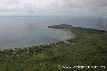 Port Colborne forges ahead with voluntary registration for cottage rentals - Welland Tribune