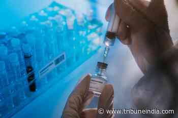 India’s ‘warm’ vaccine candidate effective against Delta, Omicron variants in mice - The Tribune India