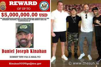 MTK Global head coach Danny Vaughan pledges his ‘loyalty’ to wanted crime boss Daniel Kinahan with online p... - The Irish Sun
