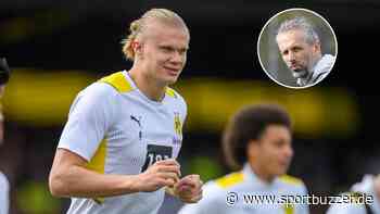 "Ein Tablettchen" für Haaland? BVB-Trainer Marco Rose gibt Personal-Update vor Wolfsburg-Spiel - Sportbuzzer