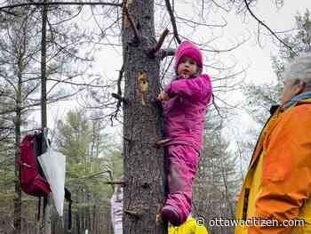 French Catholic board introducing kindergarten students to weekly nature programs
