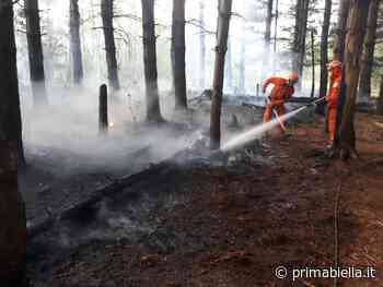 Incendio ad Andorno opera di un piromane - Prima Biella
