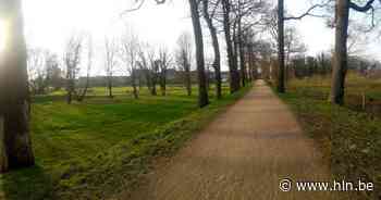 Stad vraagt omgevingsvergunning voor bomenkap aan Begijnenvest aan - Het Laatste Nieuws