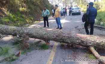 Pobladores de Ocosingo, Chiapas, bloquean la carretera a Palenque - Debate