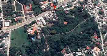 Por qué el rancho de AMLO en Palenque, Chiapas, se llama “La Chingada” - Infobae America