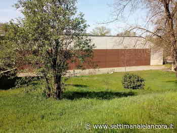 “Sferisterio di Ovada. Un muro che ci unisce”: presentazione del libro - L'Ancora