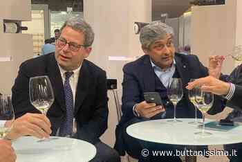 Più che il passito potè l'opera dei pupi - Buttanissima Sicilia