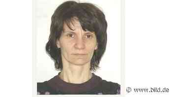 Cochem: Schädel und Knochen im Wald entdeckt – Rätsel um Tote aus Sex-Sekte - BILD