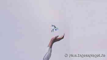 Kaufen oder Verkaufen?: Wie stelle ich sicher, dass mein Geld nicht weniger wird - Tagesspiegel Plus