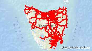 Roadkill data paints bloody picture of wildlife carnage across Tasmania