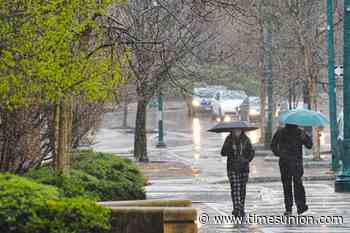 Schenectady's 'forest' will get some TLC - Times Union