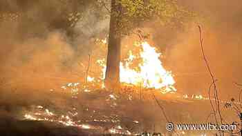 Crews from two agencies battle woods fire off Monticello Road overnight - WLTX.com