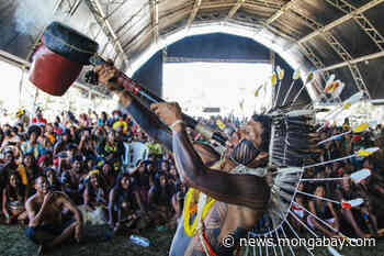 Forest loss shows stopgap decrees failing to protect Brazil's Isolated Indigenous - Mongabay.com