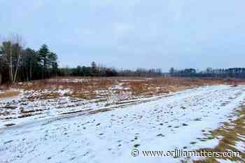 LETTER: It's hard to see the forest for the trees at Inch Farm - OrilliaMatters