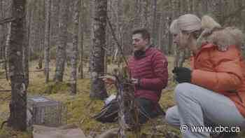 Habitats: Hiking through the boreal forest - CBC.ca