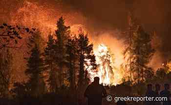 Number of Forest Fires in Greece Rises Dramatically in 2022 - Greek Reporter