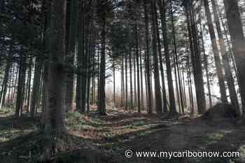 Lhtako Dene Nation and West Fraser vow to support local forest industry - mycariboonow.com