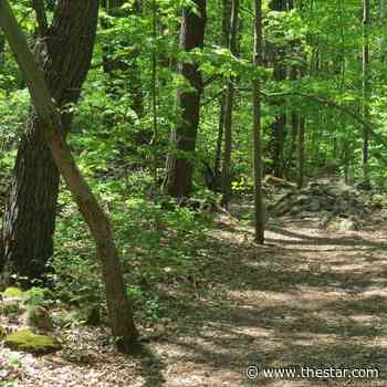 Ontario Parks recognizes Northumberland for county forest conservation practices - Toronto Star
