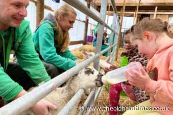 Bottle-feed lambs and bathe giant tortoises at Oldham farm this Easter - The Oldham Times