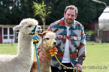 Alpakas in Marl: Jan Neuhaus erfüllt sich den Traum seines Lebens - Marler Zeitung