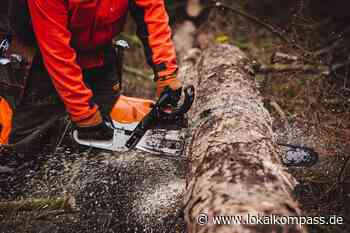 Stürme, Dürre, Schädlinge: IG BAU Emscher-Lippe-Aa fordert mehr Forstpersonal - www.lokalkompass.de