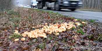 Marl: Brötchenberge an Straßenrand gekippt: Stadt droht hohe Strafen an - Marler Zeitung