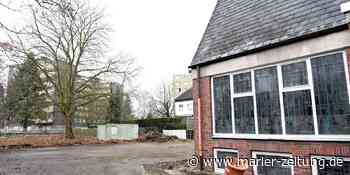 Marl: Großer Ahorn soll neuen Wohnhäusern weichen - Marler Zeitung