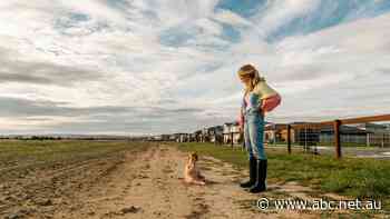 In these key electorates, a loss of faith in major political parties threatens to boil over