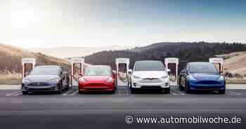 Studien: Tesla führt bei Vertrieb und Kundenwahrnehmung - Automobilwoche