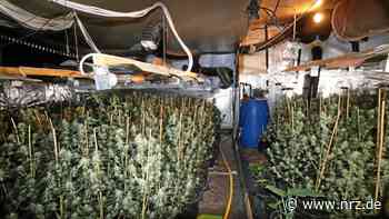Kalkar: Polizei entdeckt professionelle Cannabisplantage - NRZ News