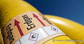 Moskau: EU hat keine Alternative zu russischer Energie - Wirtschaft - Rheinpfalz.de