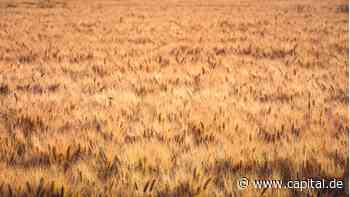 8 Fakten über die Wirtschaft der Ukraine - Capital