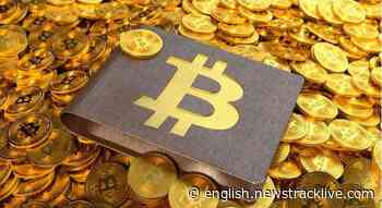 How Did Bitcoin Become the Leading Cryptocurrency? - News Track English