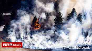 Climate change: Key UN finding widely misinterpreted