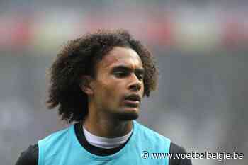 Zirkzee kijkt de kat uit de boom - Voetbalbelgie.be - Voetbal Belgie