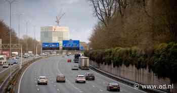 Actievoerders die de boom in gaan tegen de bomenkap bij Amelisweerd, gaan daarvoor trainen - AD.nl