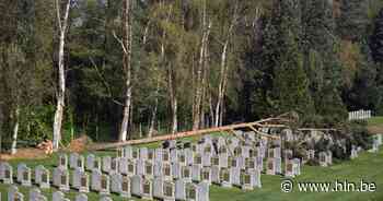 Boom valt op oorlogsgraven uit WOI - Het Laatste Nieuws