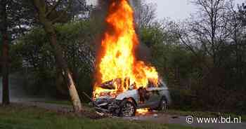 Man overleden na botsing met auto tegen boom in Molenschot, voertuig vloog in brand - BD.nl