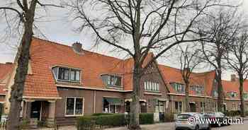 Bezwaar tegen kap boom Krispijn terecht - AD.nl