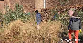 Boomse scholieren ruimen zwerfvuil op - Het Laatste Nieuws